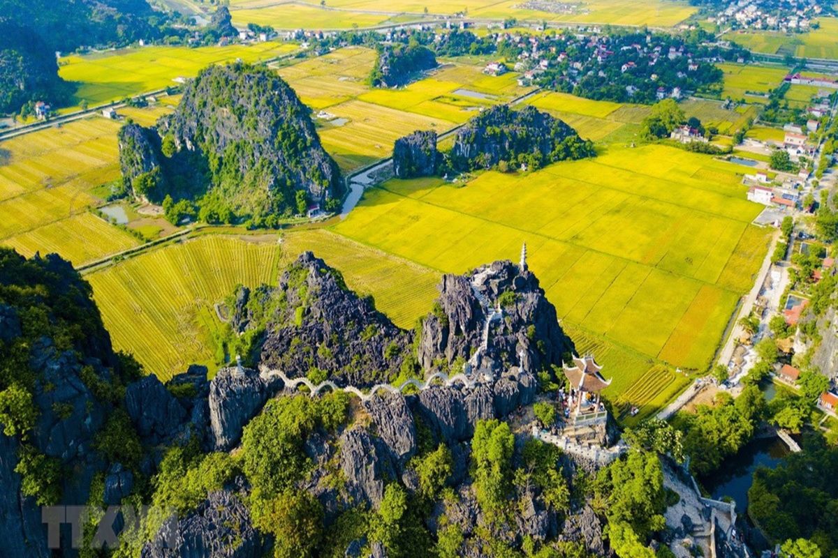 Is August a Good Time to Visit Vietnam? What You Need to Know